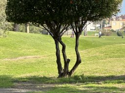 237-13-01-2026 IMG_3433